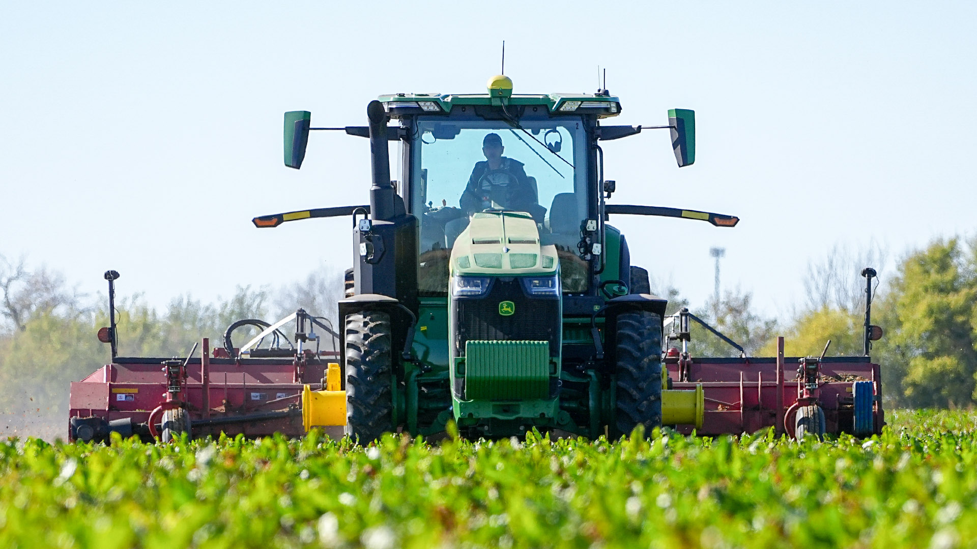 American Crystal Sugar