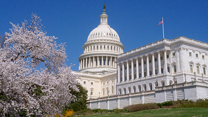 US Capitol building in spring