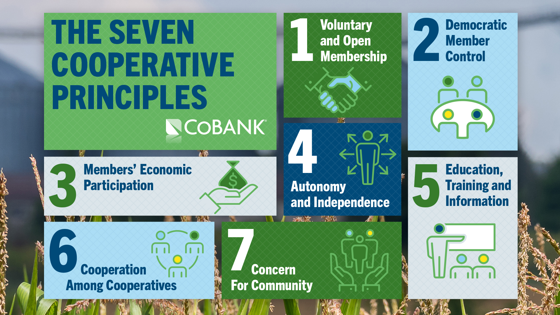 The Seven Cooperative Principles