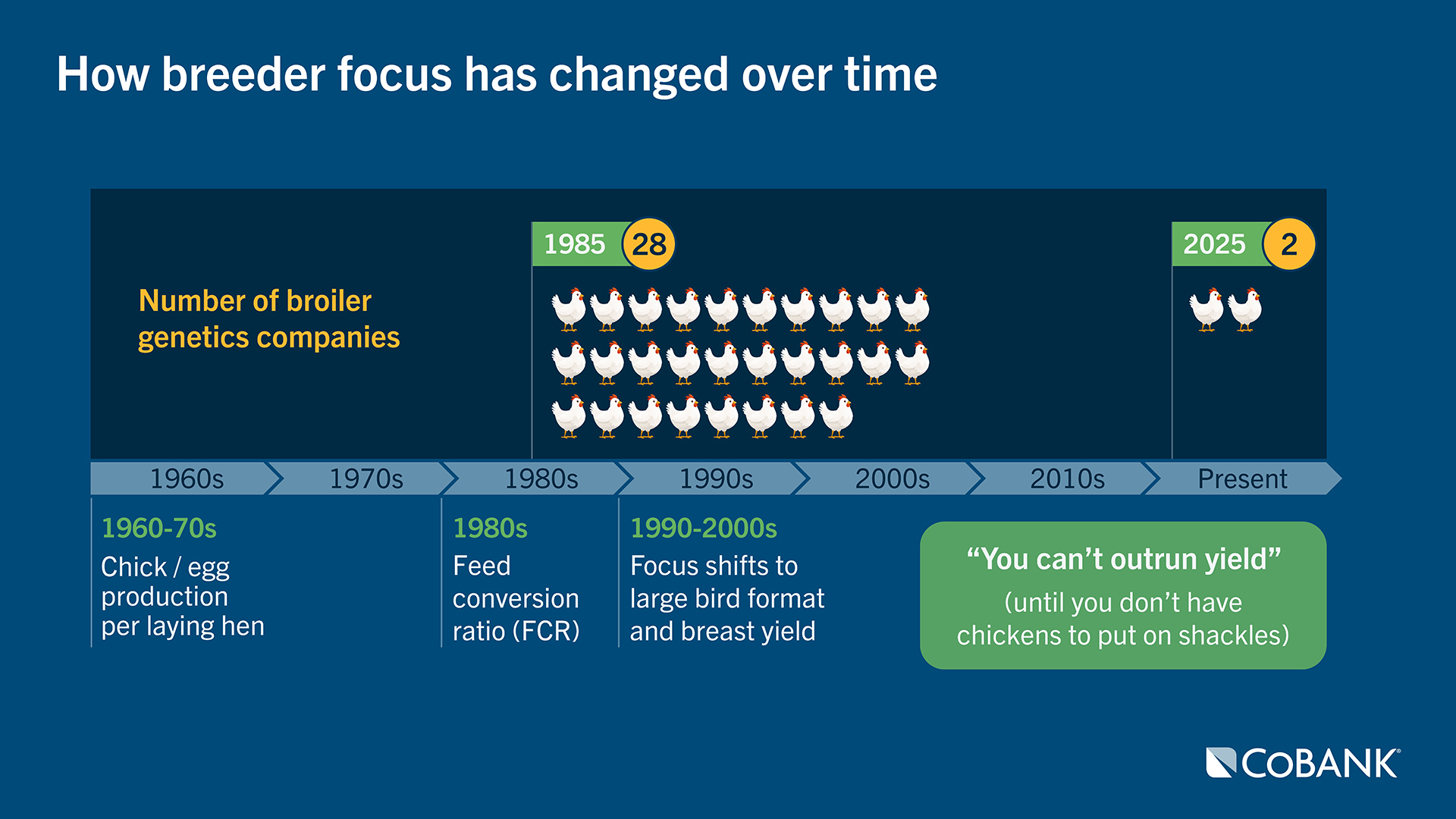 Timeline depicting changes in broiler breeding priorities from the 1960s to present. The number of broiler genetics companies declines from 28 in 1985 to 2 by 2025. Focus areas shift from egg production (1960s–70s), to feed conversion (1980s), to large‑bird format and breast yield (1990s–2000s).