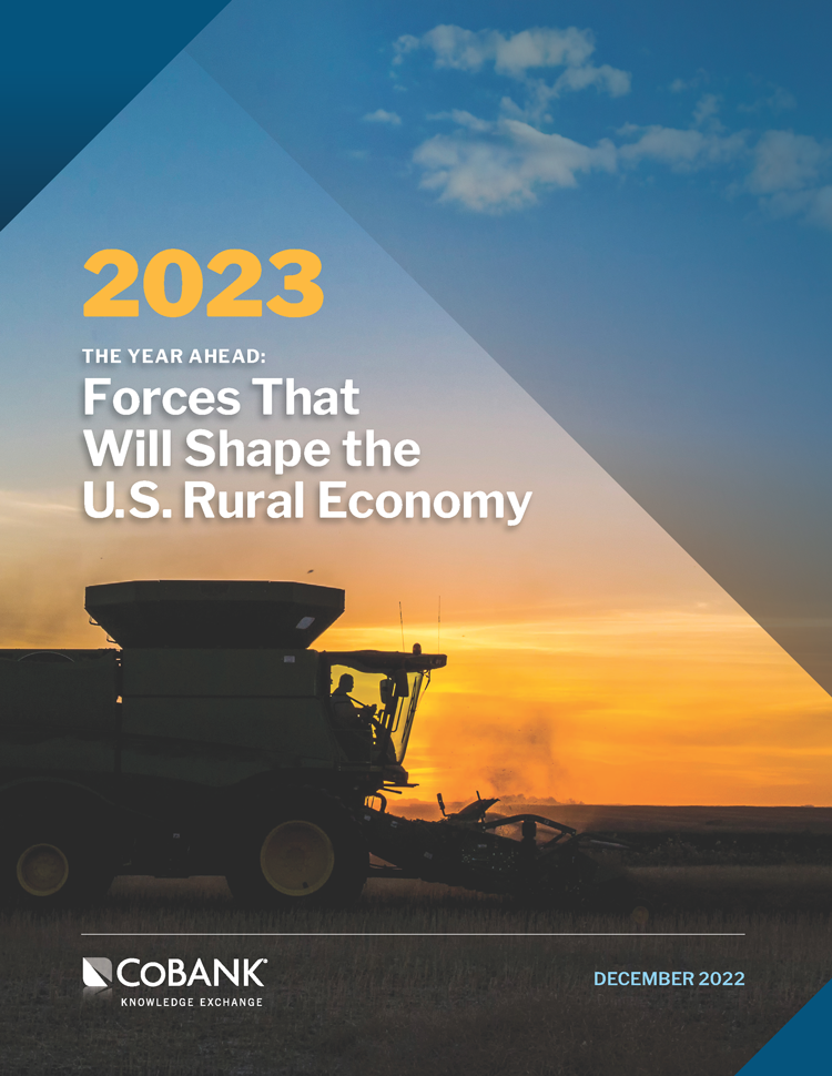 The Year Ahead: Forces That Will Shape the US Rural Economy in 2021