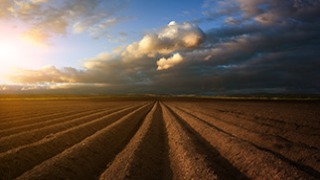 Rural America