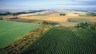 Rural America