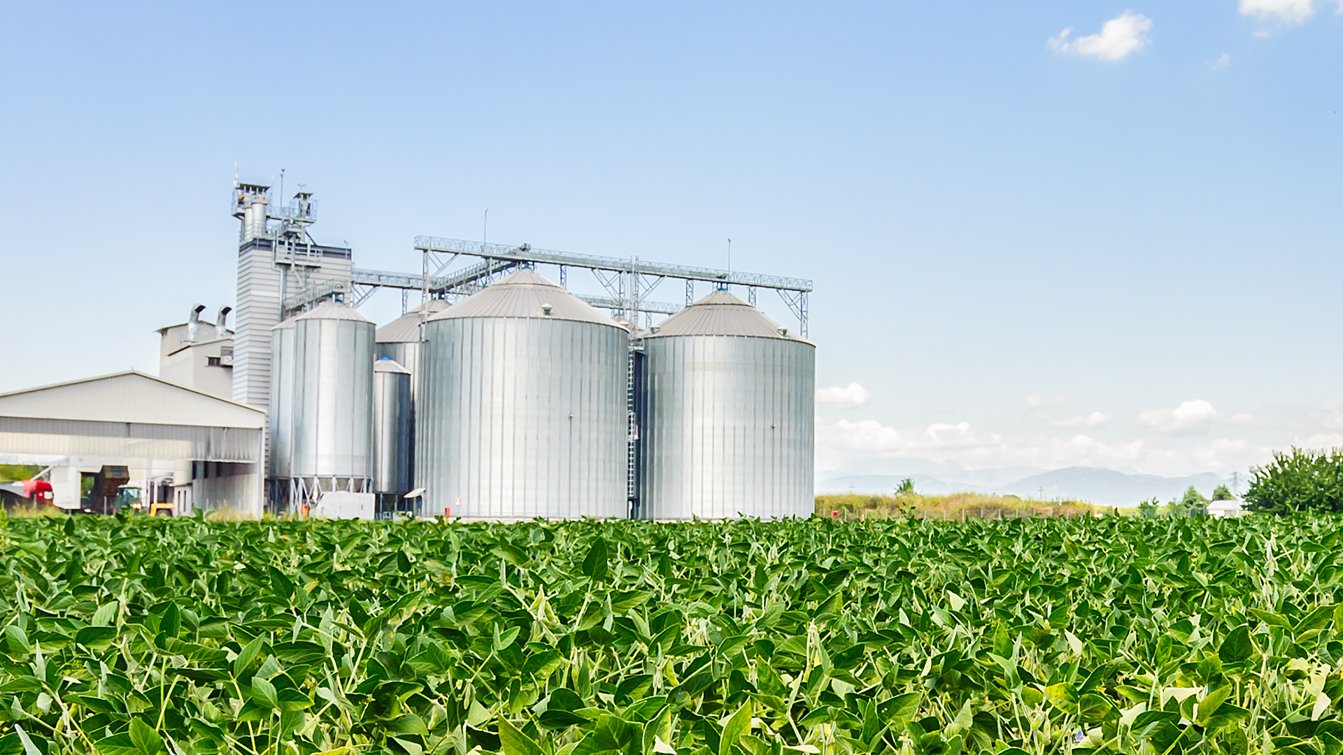 Grain Elevators